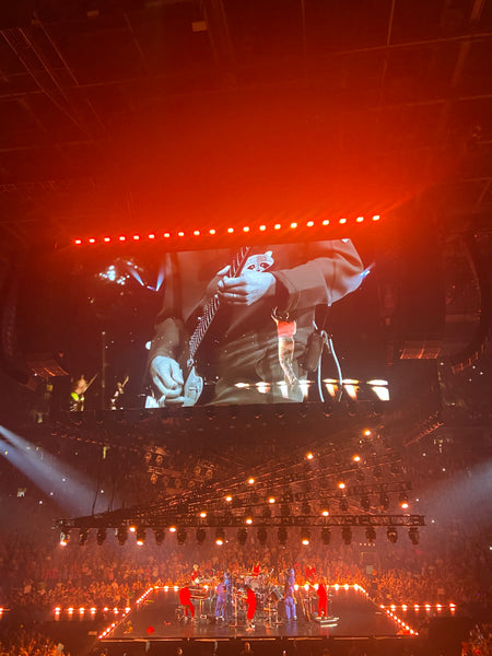 Toronto Raccoon Head Patch