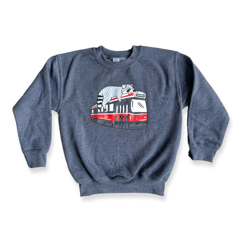 Kids Streetcar Raccoon Sweatshirt